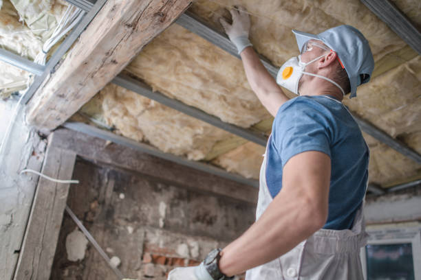 Best Cellulose Insulation in Lansing, MI