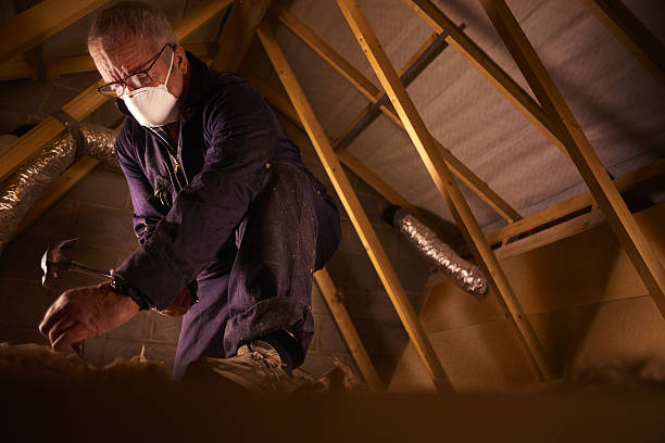 Types of Insulation We Offer in Lansing, MI