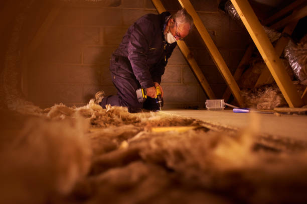 Best Residential Insulation in Lansing, MI